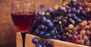 Odkryj tajemnicę domowego wina. Zrób własny trunek