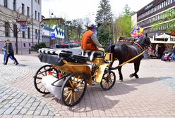 Zakopane chce podnieść kluczową opłatę. "Nie będzie innego wyjścia"