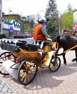 Zakopane chce podnieść kluczową opłatę. "Nie będzie innego wyjścia"