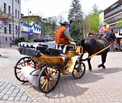 Zakopane chce podnieść kluczową opłatę. "Nie będzie innego wyjścia"