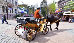 Zakopane chce podnieść kluczową opłatę. "Nie będzie innego wyjścia"
