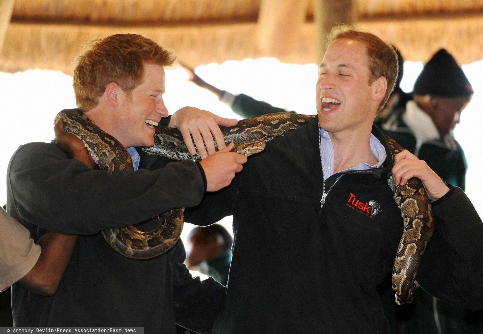 Książę William i książę Harry