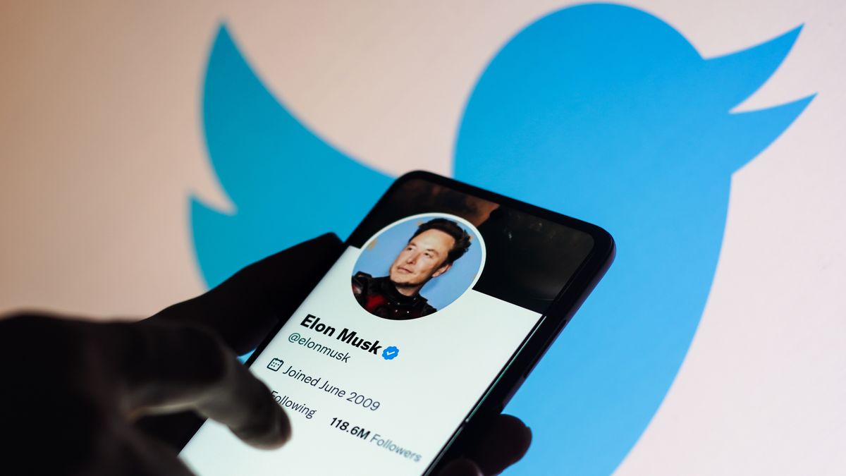 BRAZIL - 2022/11/24: In this photo illustration, the Elon Musk Twitter account seen displayed on a smartphone and Twitter logo in the background. (Photo Illustration by Rafael Henrique/SOPA Images/LightRocket via Getty Images)