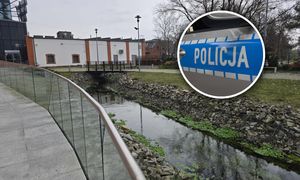 Tajemnicza śmierć w Toruniu. Wszystkie służby na miejscu