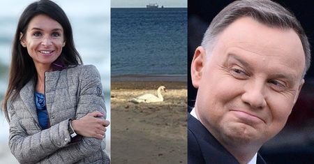 Ozdrowieniec Andrzej Duda "polajkował" na Instagramie zdjęcie Marty Kaczyńskiej z ŁABĄDKIEM na piasku...