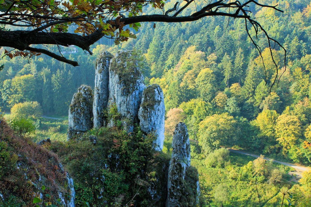 Ojcowski Park Narodowy. Poznajcie jego największe atrakcje