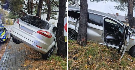 "Wypiłem jedno piwo". 27-latek wylądował na drzewie, policja pokazała zdjęcia