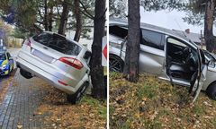 "Wypiłem jedno piwo". 27-latek wylądował na drzewie, policja pokazała zdjęcia