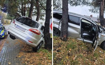 "Wypiłem jedno piwo". 27-letni Ukrainiec wylądował na drzewie, policja pokazała zdjęcia