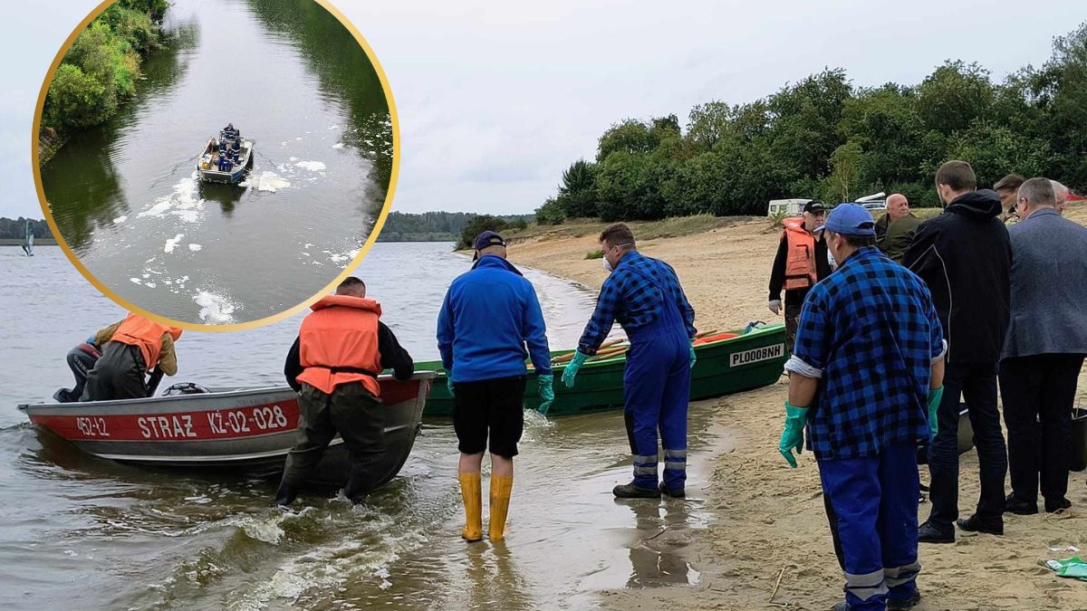 Z jeziora Dzierżno Duże i części Kanału Gliwickiego (woj. śląskie) służby w ciągu trzech dni wyłowiły 3,5 tony śniętych ryb