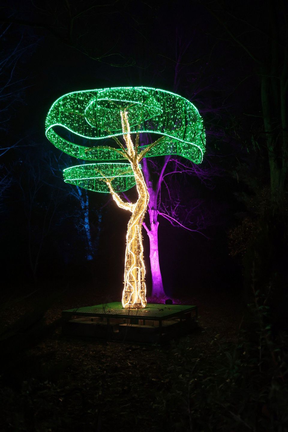 07.11.2024 LUBLIN LUMINA PARK UMCS 80 LAT UMCS OGROD BOTANICZNY BOTANIK PODSWIETLENIE INSTALACJE SWIETLNE NZ FOT. LUKASZ KACZANOWSKI/POLSKA PRESS
