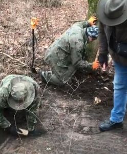 Porządkowali stary, poniemiecki cmentarz. Znaleźli cenny zabytek