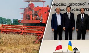 Ukraina pyta Polskę o koszty. Chodzi o wywóz zboża