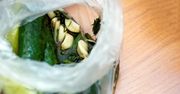 Pierwsze ogórki małosolne zrób na skróty. Nie każdemu spodoba się ta metoda, ale działa