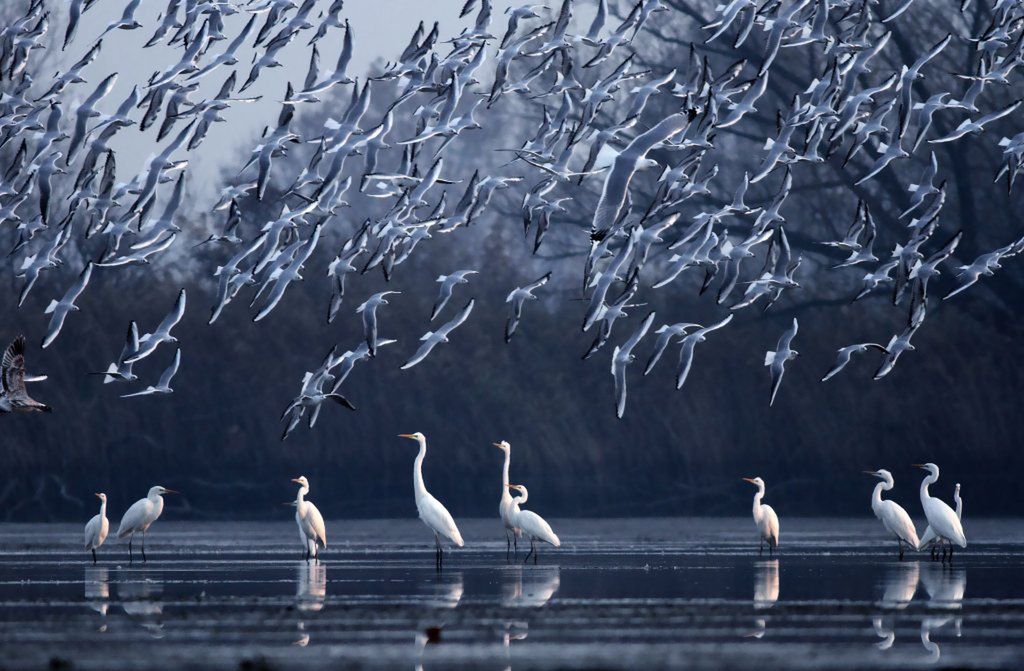 10. Wielki Konkurs Fotograficzny National Geographic - zobacz nagrodzone zdjęcia 27