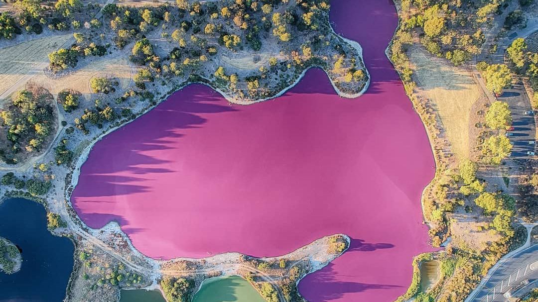 Różowe jezioro przyciąga turystów jak magnes. Lepiej do niego nie wchodzić 1