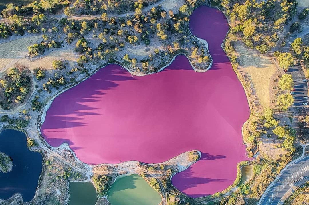 Różowe jezioro przyciąga turystów jak magnes. Lepiej do niego nie wchodzić