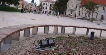Plac Litewski. W miejsce wyciętego Baobabu posadzą nowe drzewo