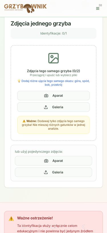 Grzybownik 