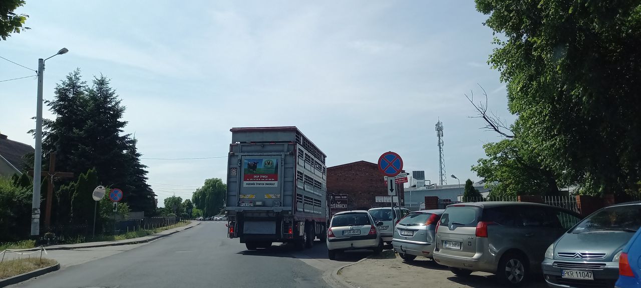 Ul. Dworcowa w Golinie. Transport żywca do zakładów Biernackiego