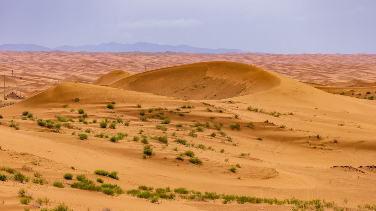 Naukowcy będą rekultywować pustynię Tengger