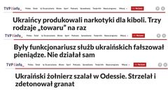 Rada Etyki Mediów krytykuje TVP. Stygmatyzowano Ukraińców?