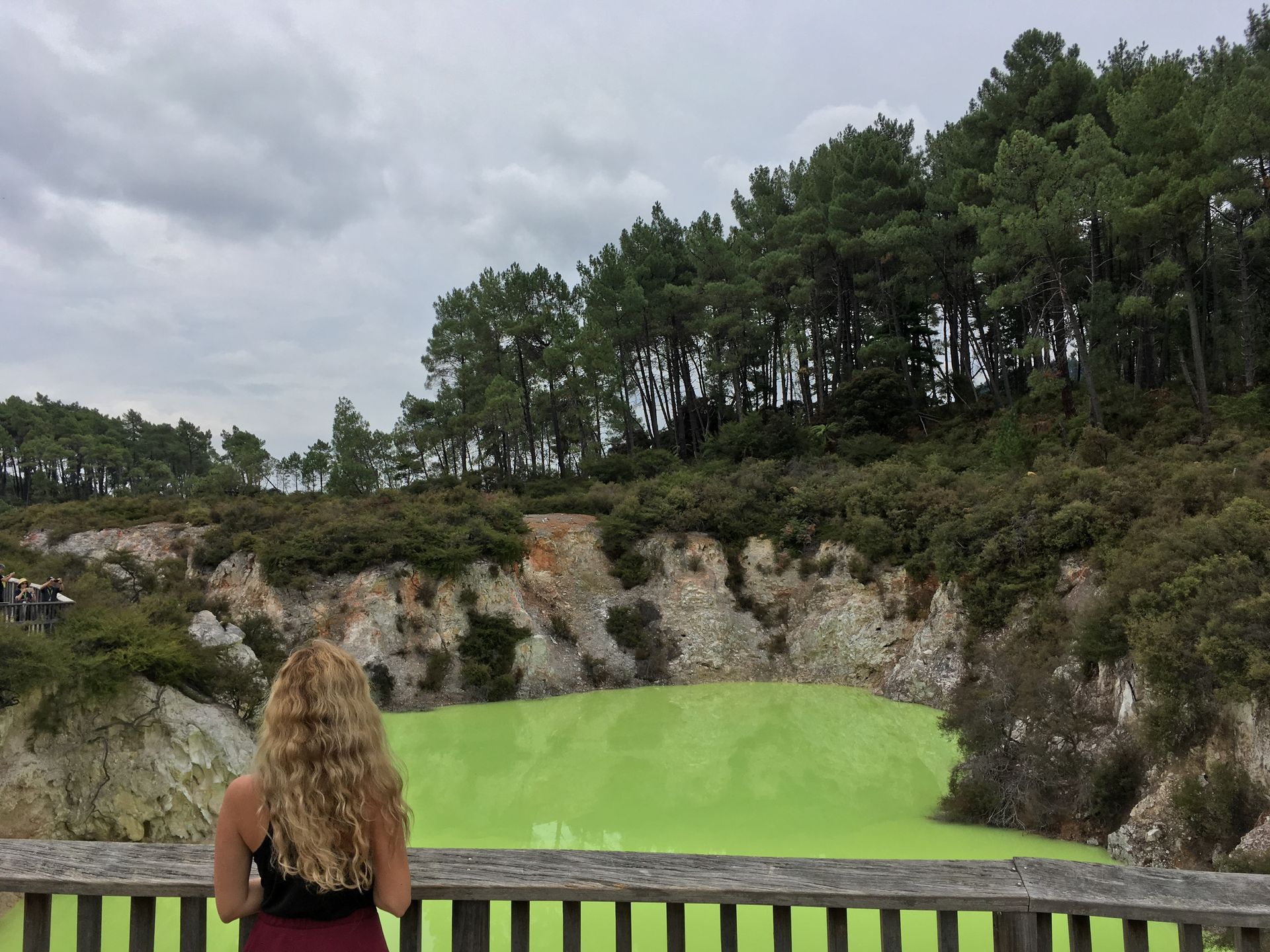 Waiotapu geothermal area (Rotorua) 