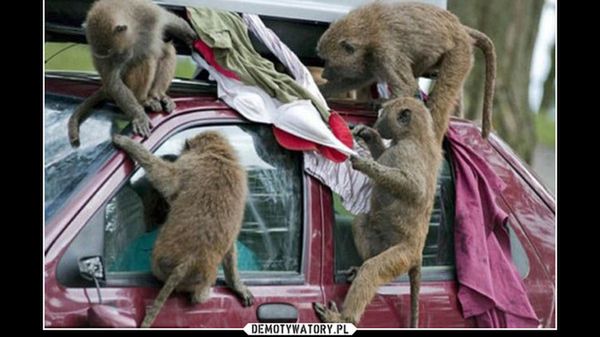 Dzięki tej usłudze nie będziesz musiał chodzić z dziewczyną na zakupy 1