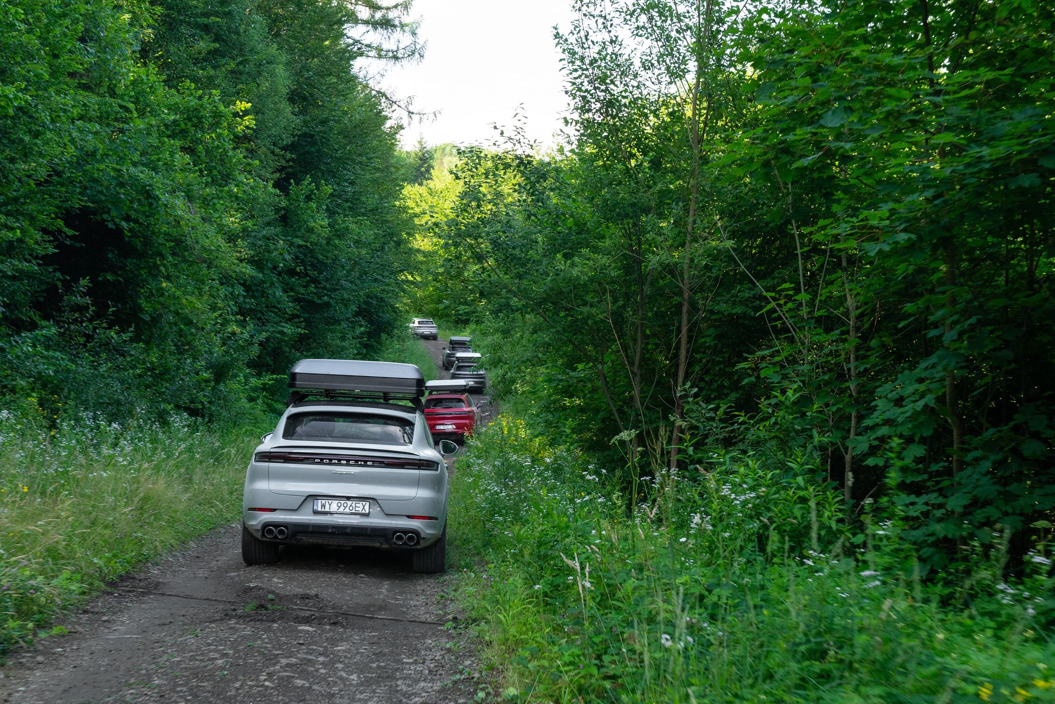 Porsche Cayenne w Bieszczadach