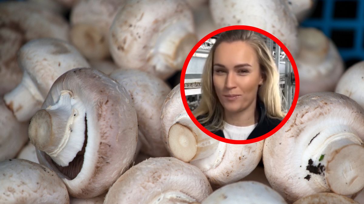 Kamila Boś mówi o jedzeniu surowych pieczarek