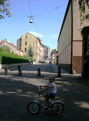 Obraz