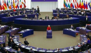 Kogo wybieramy w wyborach do Parlamentu Europejskiego?