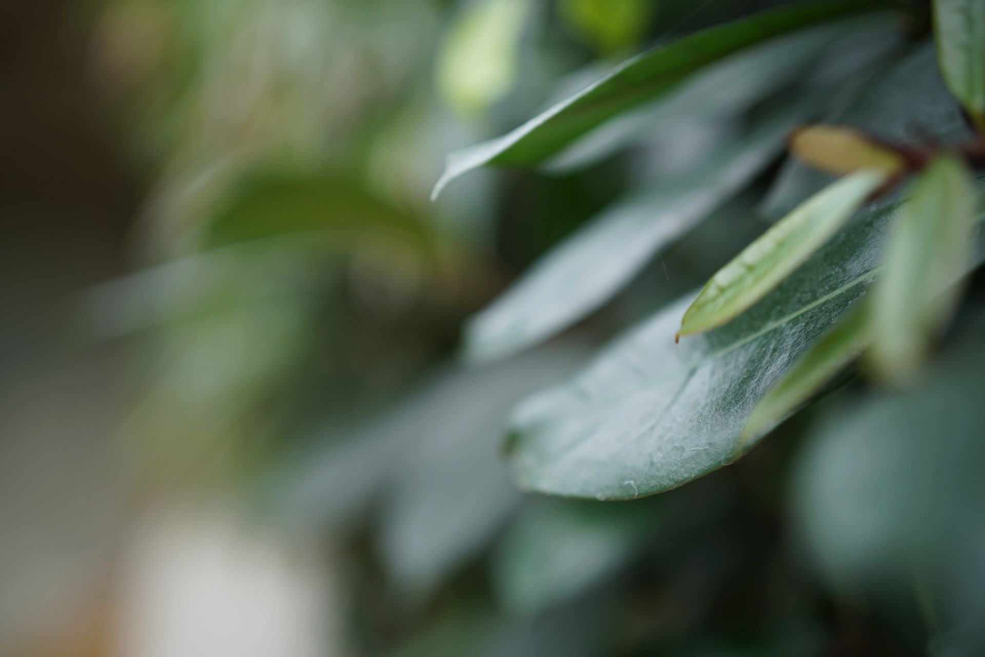 Zeiss Planar T* FE 50 mm f/1.4 ZA - nasze przykładowe zdjęcia 13