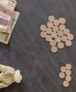 Dolnośląskie. Zbierali pieniądze na chore dziecko. Puszka znikła z lady