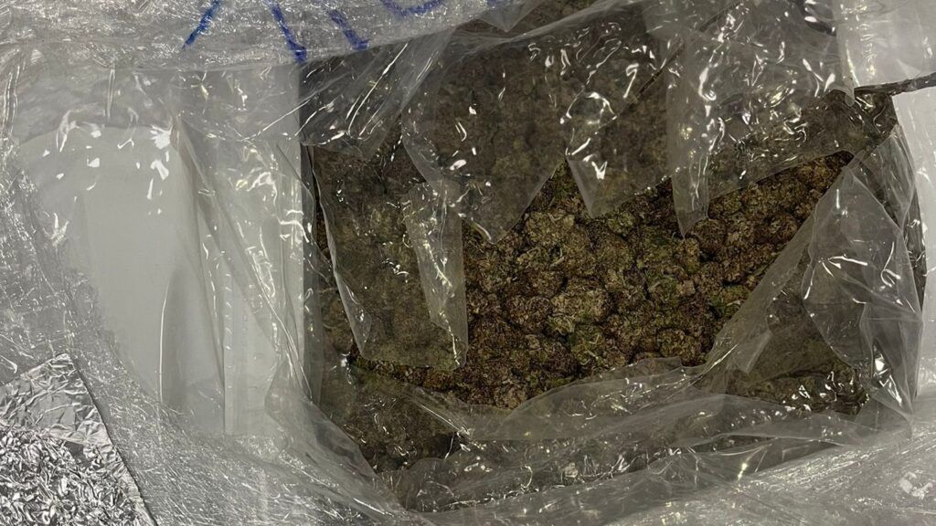 Zamknięta paczka z suszem roślinnym w przezroczystym opakowaniu, leżąca na białej powierzchni.