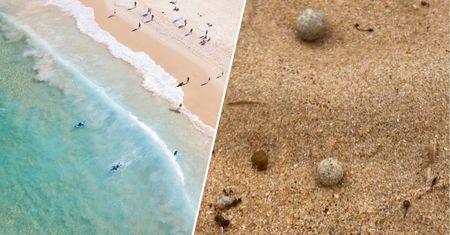 Pojawiły się tajemnicze kulki. Władze zamykają plaże