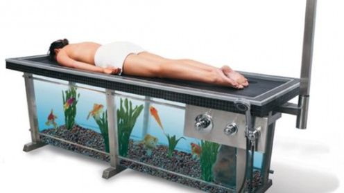 Ekoblogia: Hydroterapia w akwarium 1