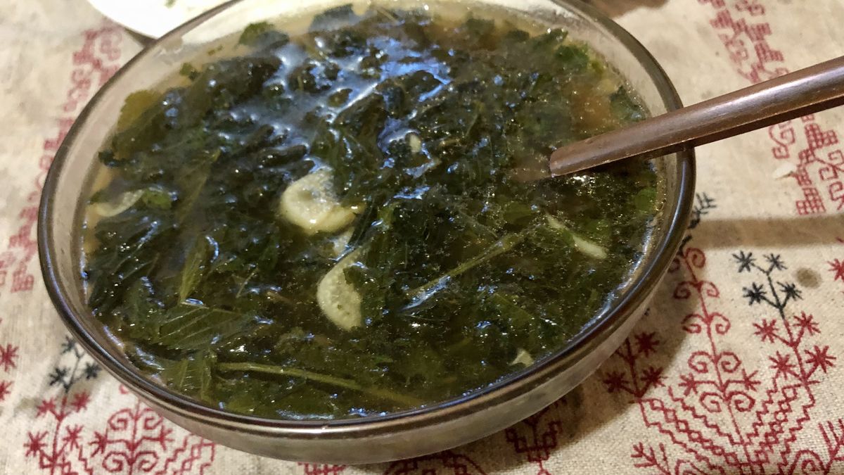 Egyptian Arabic traditional soup Molokhia or Mulukhiyah backgroundEgyptian and Arabic  vegetarian soup Molokhia or  Mulukhiyah in bowl on the tableYulia Malakhova