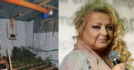 CBŚ znalazło 170 KRZAKÓW MARIHUANY... w knajpie po "rewolucji" Gessler!