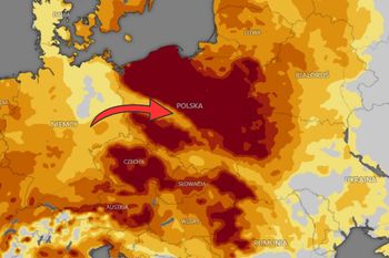 To katastrofa. Wymienili konkretne rejony. Synoptycy z USA ws. Polski
