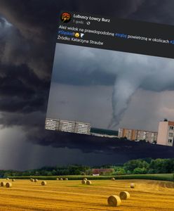 Eksperci biją na alarm. Groźne zjawisko na Śląsku