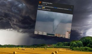 Eksperci biją na alarm. Groźne zjawisko na Śląsku