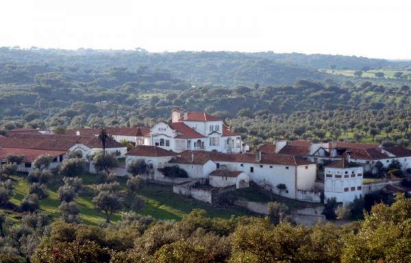 Idealny prezent gwiazdkowy do nabycia w Portugalii