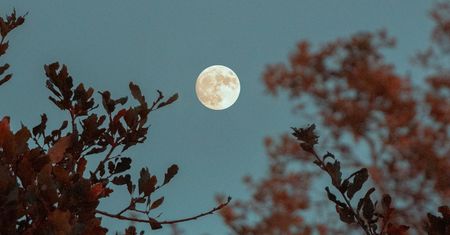 Niebieski Księżyc zaświeci na całym świece. Pierwsza taka pełnia od II wojny światowej