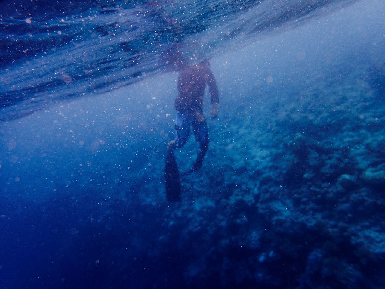 Record-breaking coral discovered in the Pacific Ocean from space