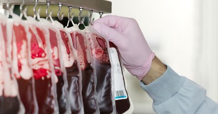 Nie tylko czekolada. Nowy przywilej dla krwiodawców od 1 października
