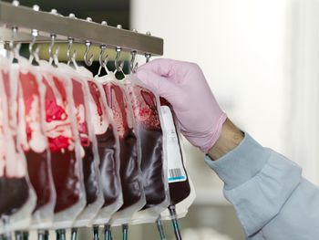 Nie tylko czekolada. Nowy przywilej dla krwiodawców od 1 października