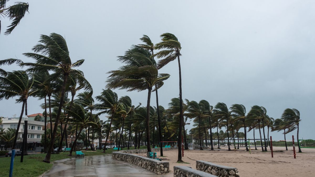 Storm at the beachBeach before the stormJuanmoninoActions, Beach, Beaches, Caribbean, Cloud, Coastline, Color Image, Dark, Dusk, Florida, Florida Keys, Horizontal, Hurricane, Landscape, Miami - Florida, Miami Beach, Monsoon, Nature, Nature, Night, No People, Ocean Drive, Outdoors, Overcast, Palm Tree, Rain, Scenics, Sea, Sky, South Beach, Storm, Storm Cloud, Travel Locations, Tree, Tropical Climate, Typhoon, Water, Weather, Wind
