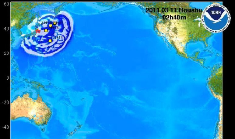 Gdzie dotarła fala tsunami? [wideo]