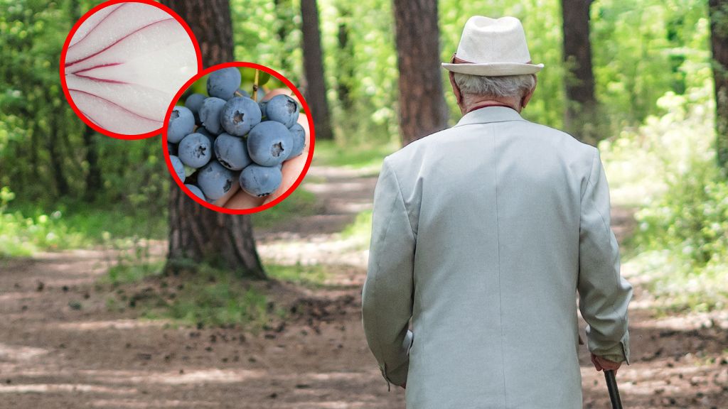 Dieta na zdrowie mózgu
